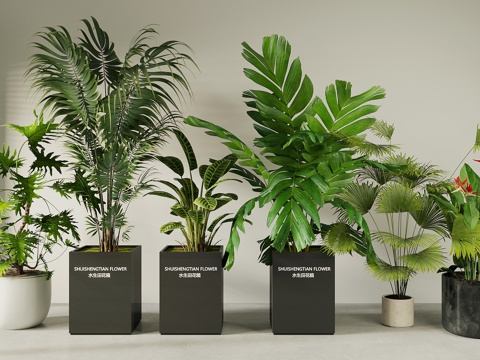 potted potted plant plant combination floor potted plant green plant ornaments flower box