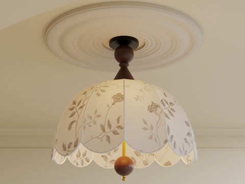 French Antique Chandelier Art Chandelier