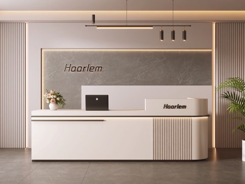 Modern Front Desk Reception Cashier