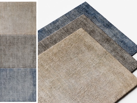 Modern Carpet Rectangular Carpet Fabric Carpet Living Room Carpet