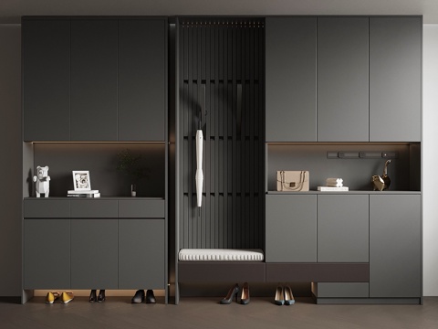 Modern shoe cabinet