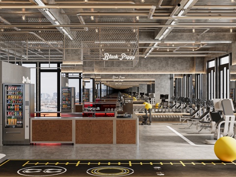 Modern industrial wind gym fitness gantry treadmill spinning butterfly machine