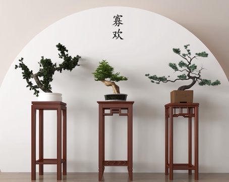 Bonsai Art Chinese Bonsai Wooden Flower Frame# Indoor Green Planting