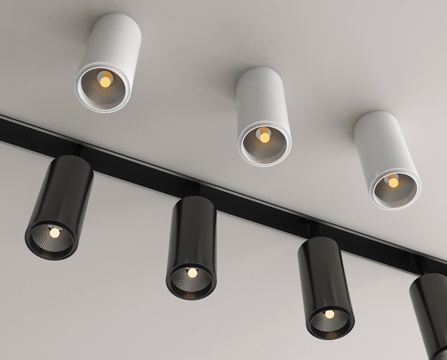 Downlight Track Spotlight
