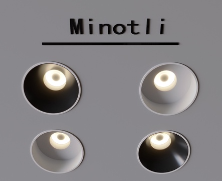 Embedded Downlight