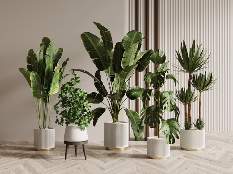 Green Plant Modern Potted Plant Green Plant Floor Potted Tree