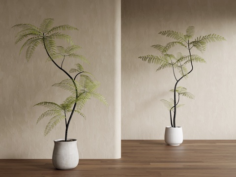 green plant ancient style green plant potted tree