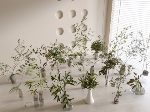 Modern Desktop Green Plant Vase Potted Plant