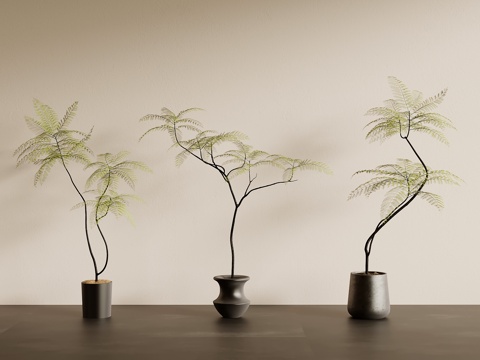 green plant ancient style green plant potted tree