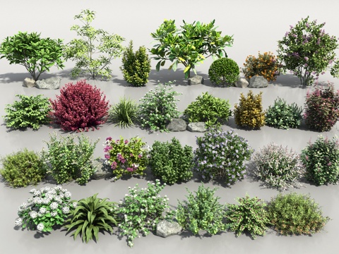 Modern Flower Shrub Combination Shrub Ball Flower Belt Flower Garden Green Plant Spherical Plant Outdoor Plant Flower