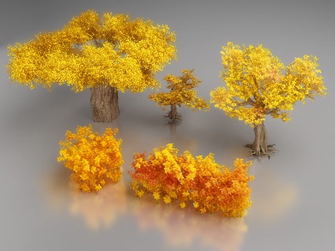 Modern Tree Landscape Tree Shrub Yellow Tree
