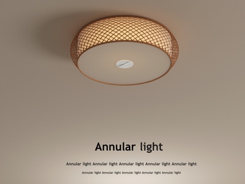 Ceiling lamp Japanese ceiling lamp