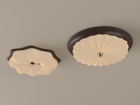 Ceiling lamp lighting lamp