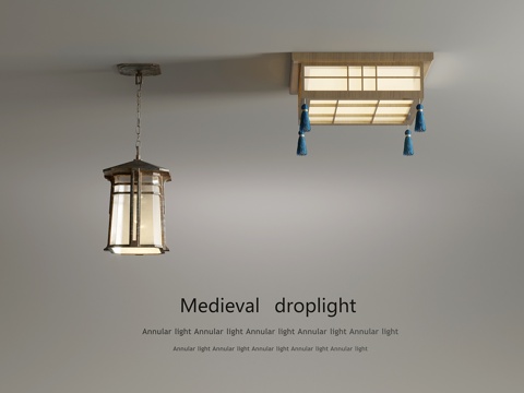 Ceiling lamp Japanese ceiling lamp Chandelier