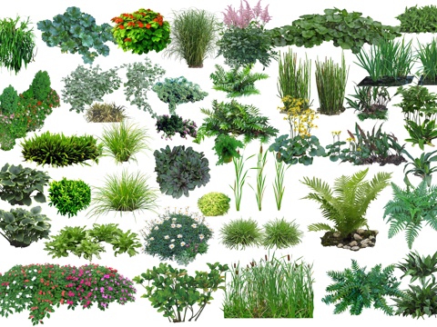 Grass flower cover low shrub fern PSD free matting