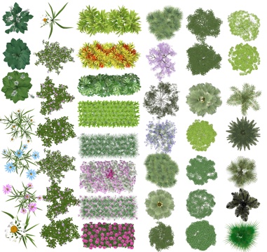 Color flat plane plant PSD free matting