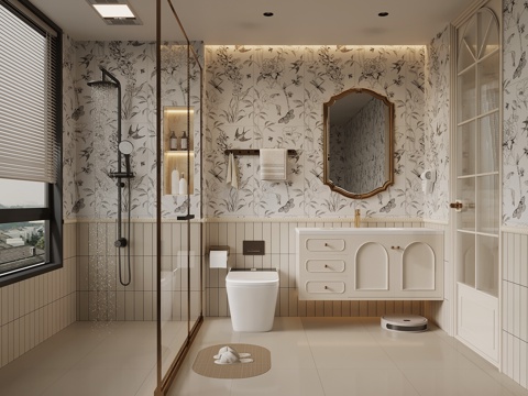 French Toilet Bathroom Cabinet Shower Toilet
