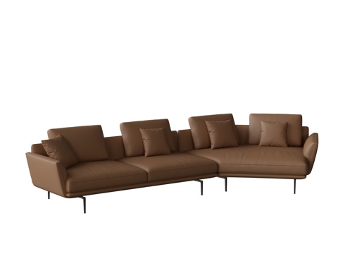 Special-shaped sofa
