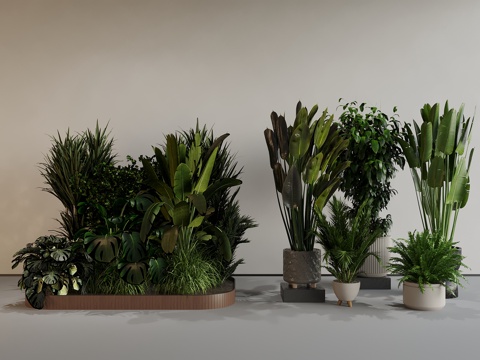 Modern Green Plant Green Plant Pot