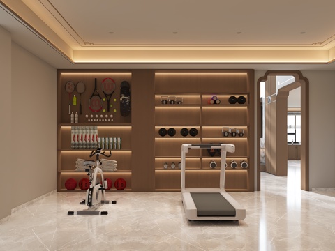 Modern Gym Home Gym