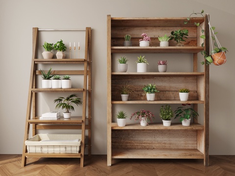 Modern Green Plant Rack Fleshy Potted Plant