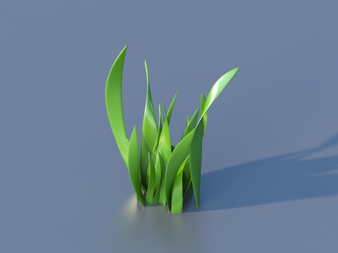 water grass water bottom plant seaweed plant grass