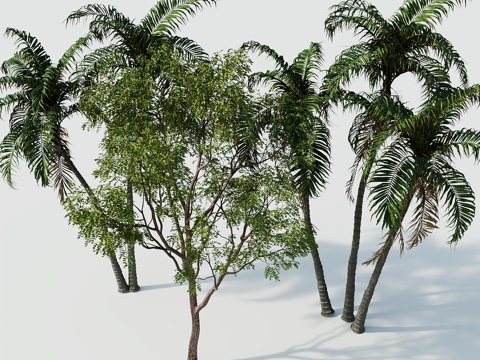 Tree Landscape Tree Greening Tree Greening Tree