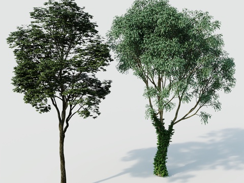 Tree Landscape Tree Greening Tree Greening Tree