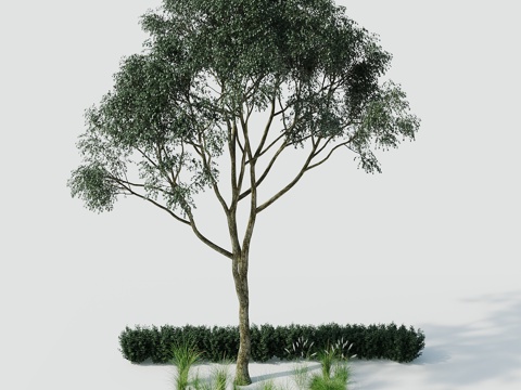 Tree Landscape Tree Greening Tree Greening Tree