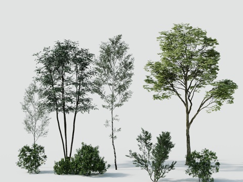 Tree Landscape Tree Greening Tree Greening Tree