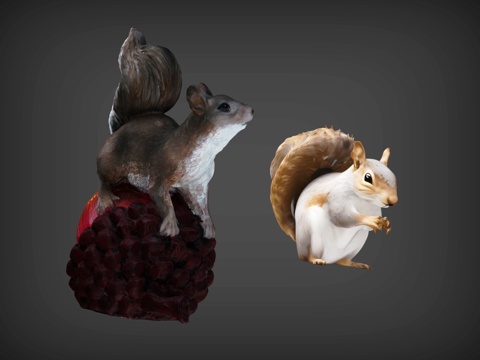 Squirrel Squirrel Cartoon Squirrel Animation Squirrel Squirrel Two Squirrels