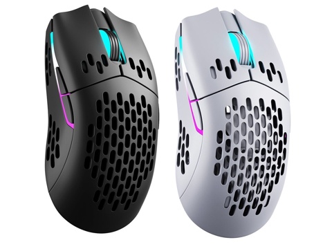 Mouse