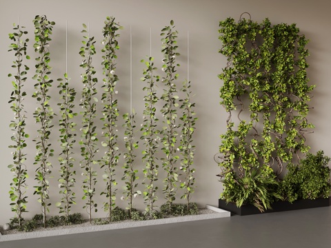Modern Green Creeper