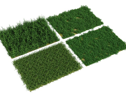 Modern Plants Lawn Lawn Flowers and Shrubs Flowers and Grasses Small Grasses and Wild Grasses