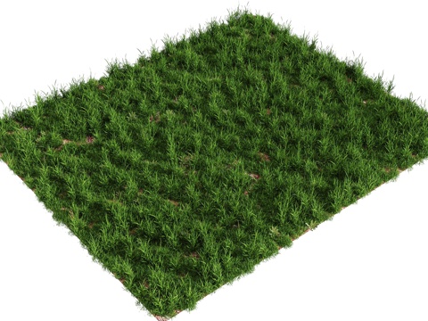 Modern Plants Lawn Lawn Flowers and Shrubs Flowers and Grasses Small Grasses and Wild Grasses