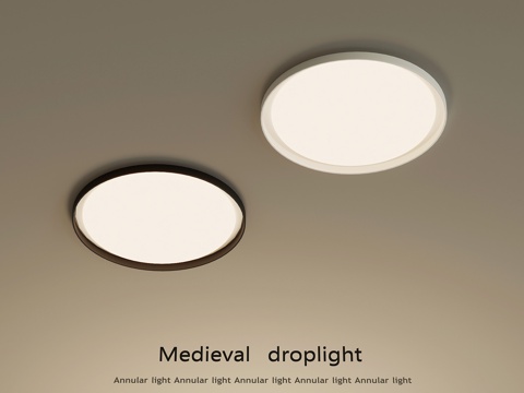 modern ceiling lamp