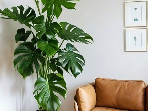 Potted Big Leaf Potted Green Plant Modern Green Plant Tropical Green Plant Potted Palm Leaf Medium