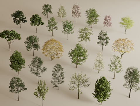 Landscape tree line to tree arbor