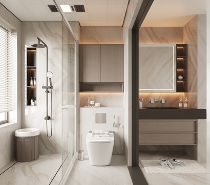 Modern Home Toilet
