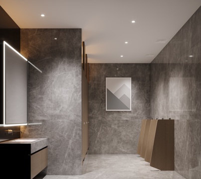 modern public toilet