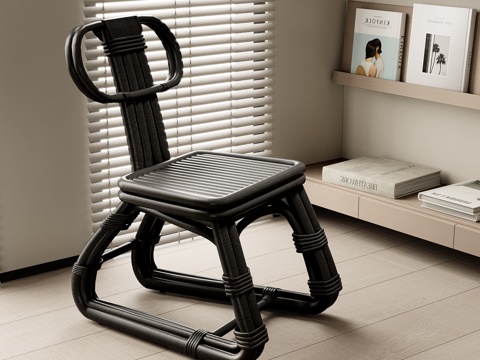 Modern Lounge Chair Armchair Bamboo Chair Bookshelf Books