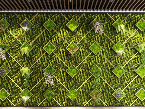 Modern Plant Wall Plant Landscaping Moss Landscape Wall