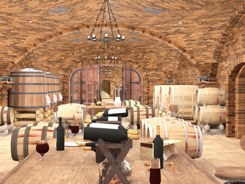 Modern Wine Cellar