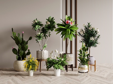 Green Plant Modern Potted Plant Green Plant Floor Potted Tree