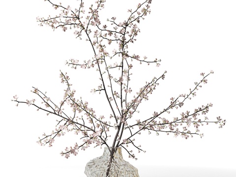 New Chinese Vase Flora Flower Branches