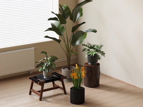 Green Plant Potted Plant Modern Green Plant Potted Plant Potted Plant Floor-standing Potted Plant