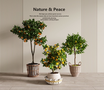Green Plant Modern Green Plant Bonsai Kumquat Fruit Tree