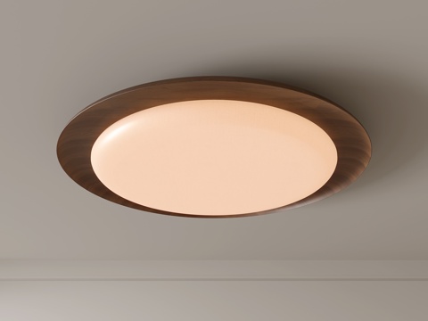 Modern Ceiling Lamp Geometric Ceiling Lamp Bedroom Lamp Art Shape Lamps Fashion Living Room Lamp