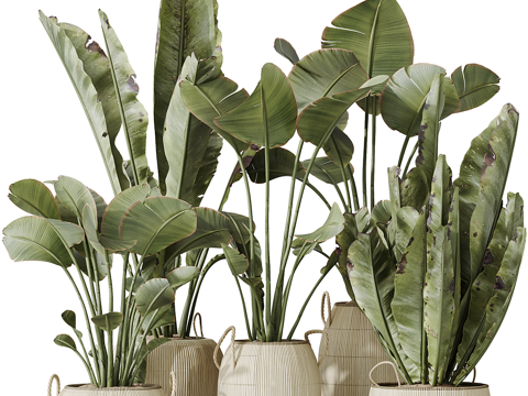 Neo-Chinese Style Pot Plant