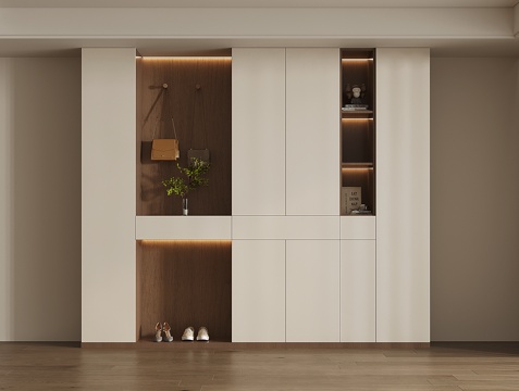 Modern Shoe Cabinet Partition Shoe Cabinet Household Shoe Cabinet Decorative Shoe Cabinet